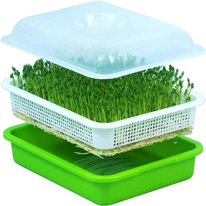 Seed sprouted trays | Microgreen trays