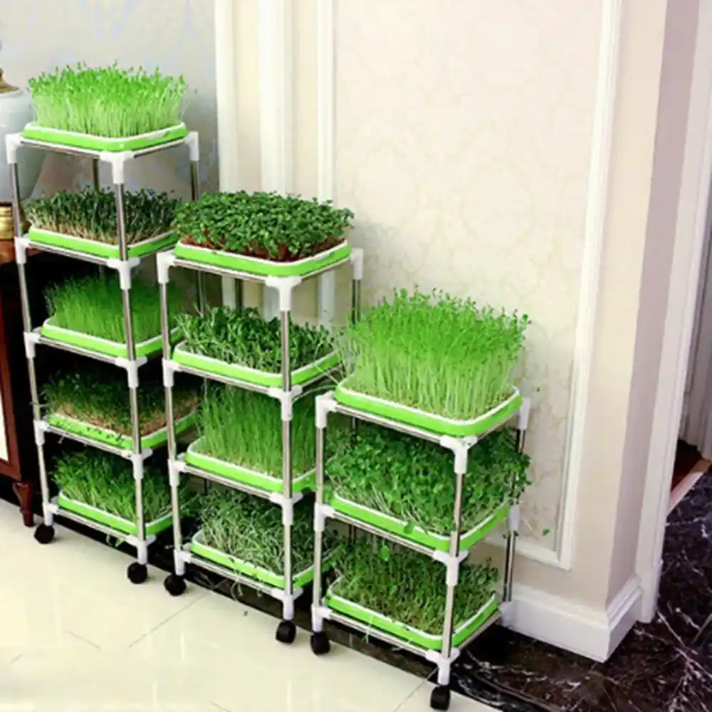 Multi stack microgreen trays | Microgreen trays