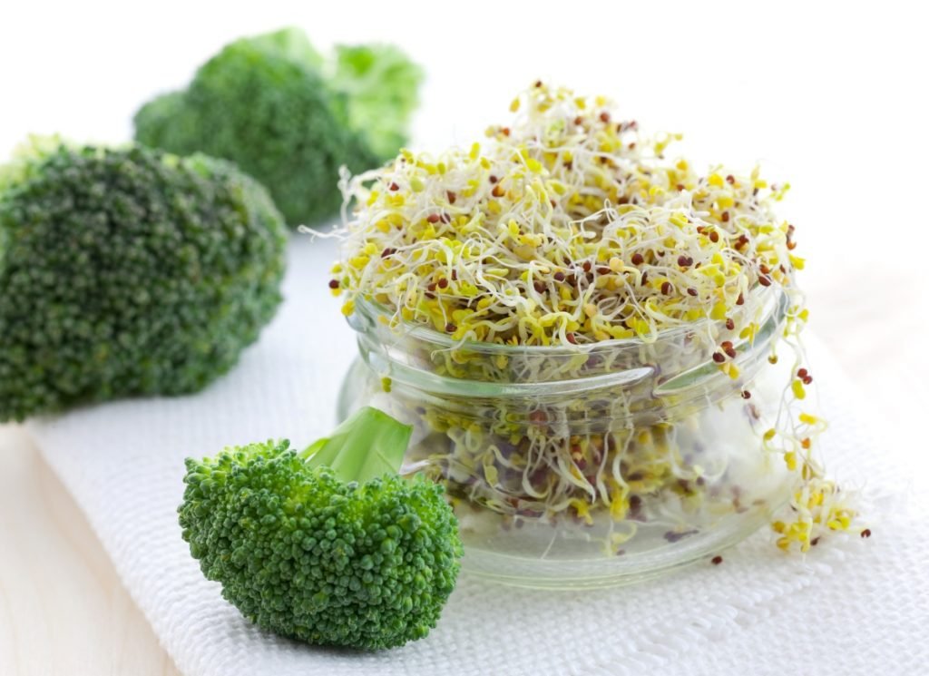Broccoli & its miniatures | Broccoli microgreens