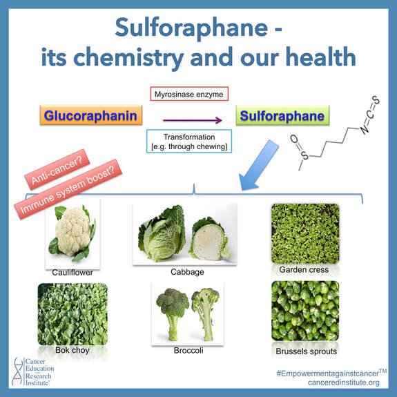 Chemistry of Sulforaphane found in Broccoli | Broccoli microgreens benefits