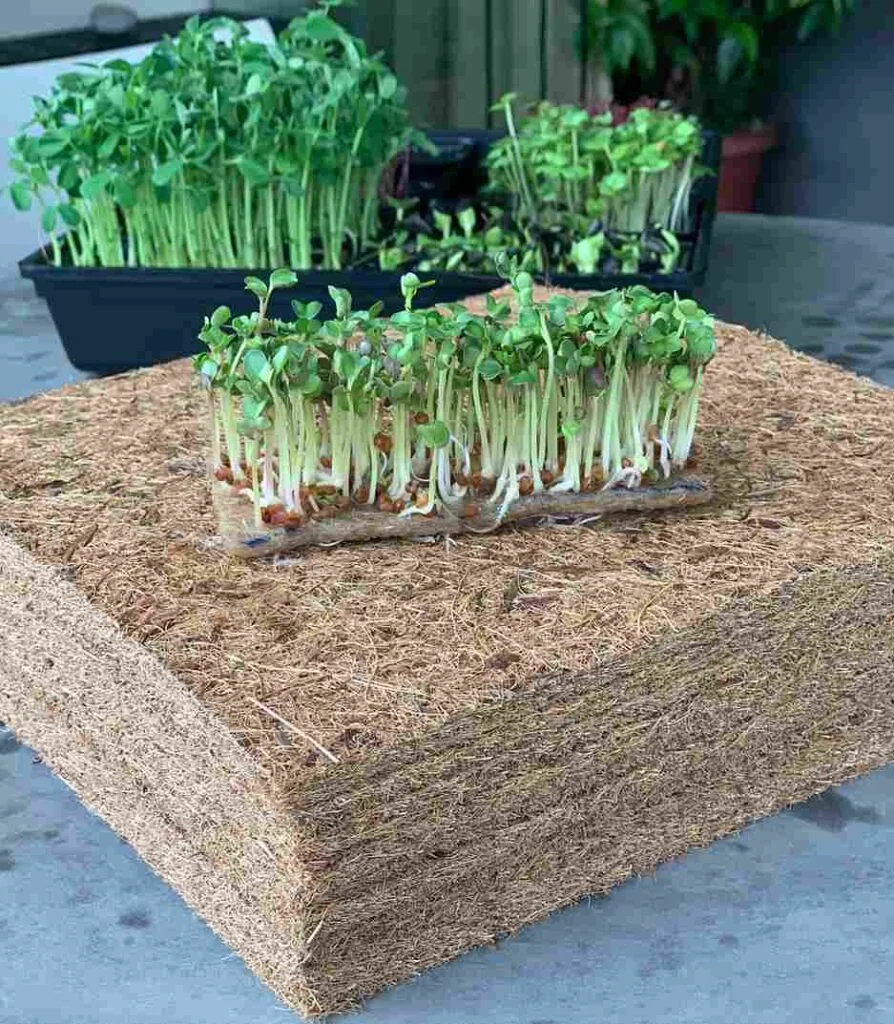 Grow mats | Microgreen trays
