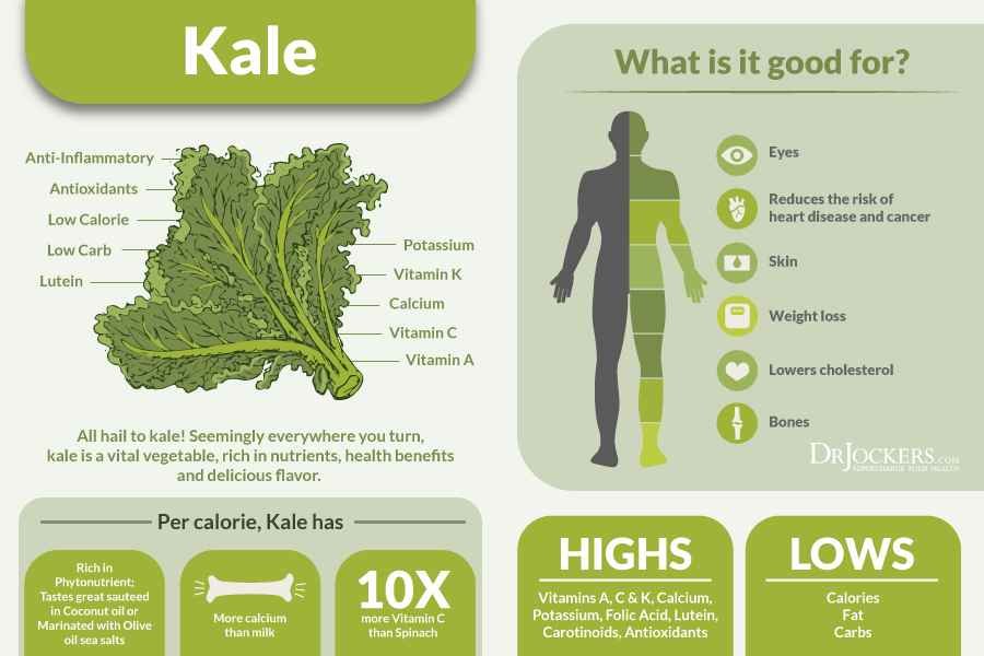 Health benefits of Kale microgreens | Kale microgreens 