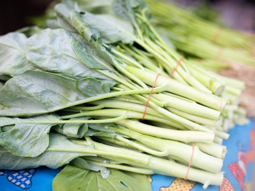Chinese kale | Kale microgreens