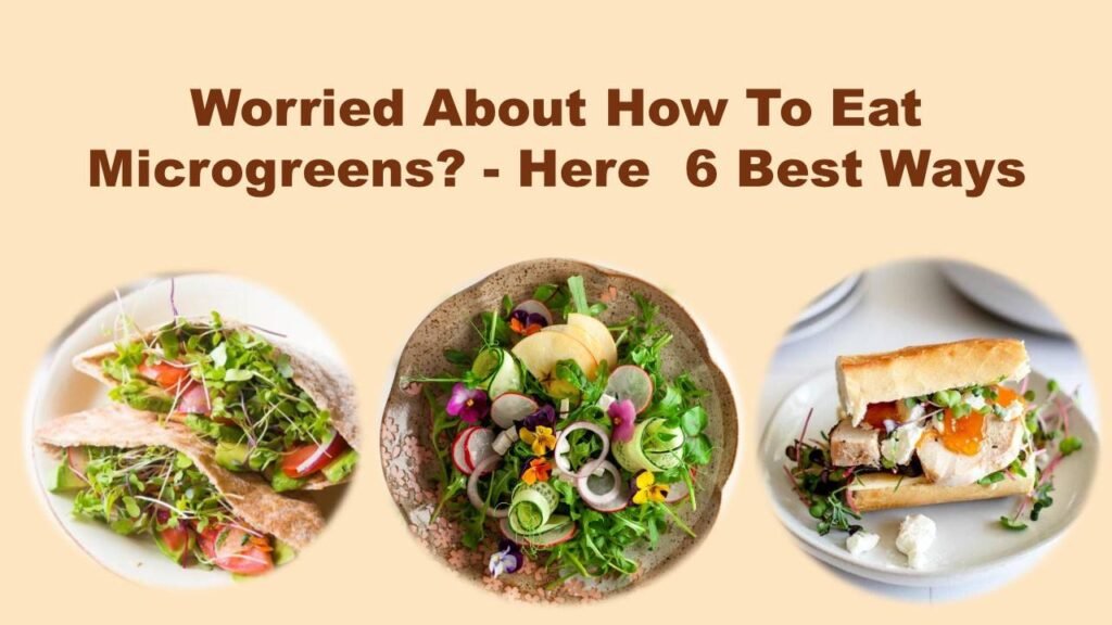 Worried About How To Eat Microgreens? – Here  6 Best Ways