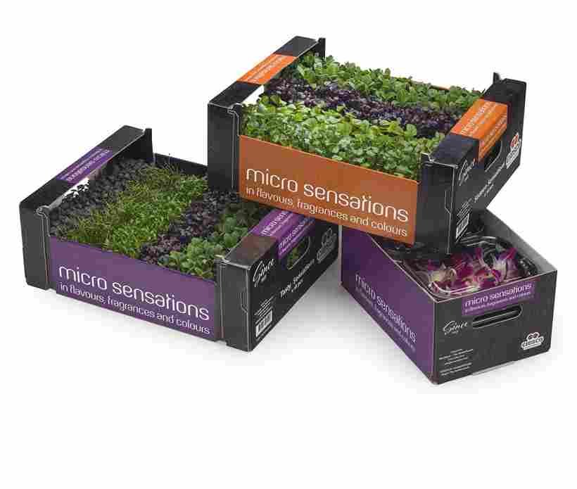 Sell microgreens through subscription boxes | How to sell microgreens