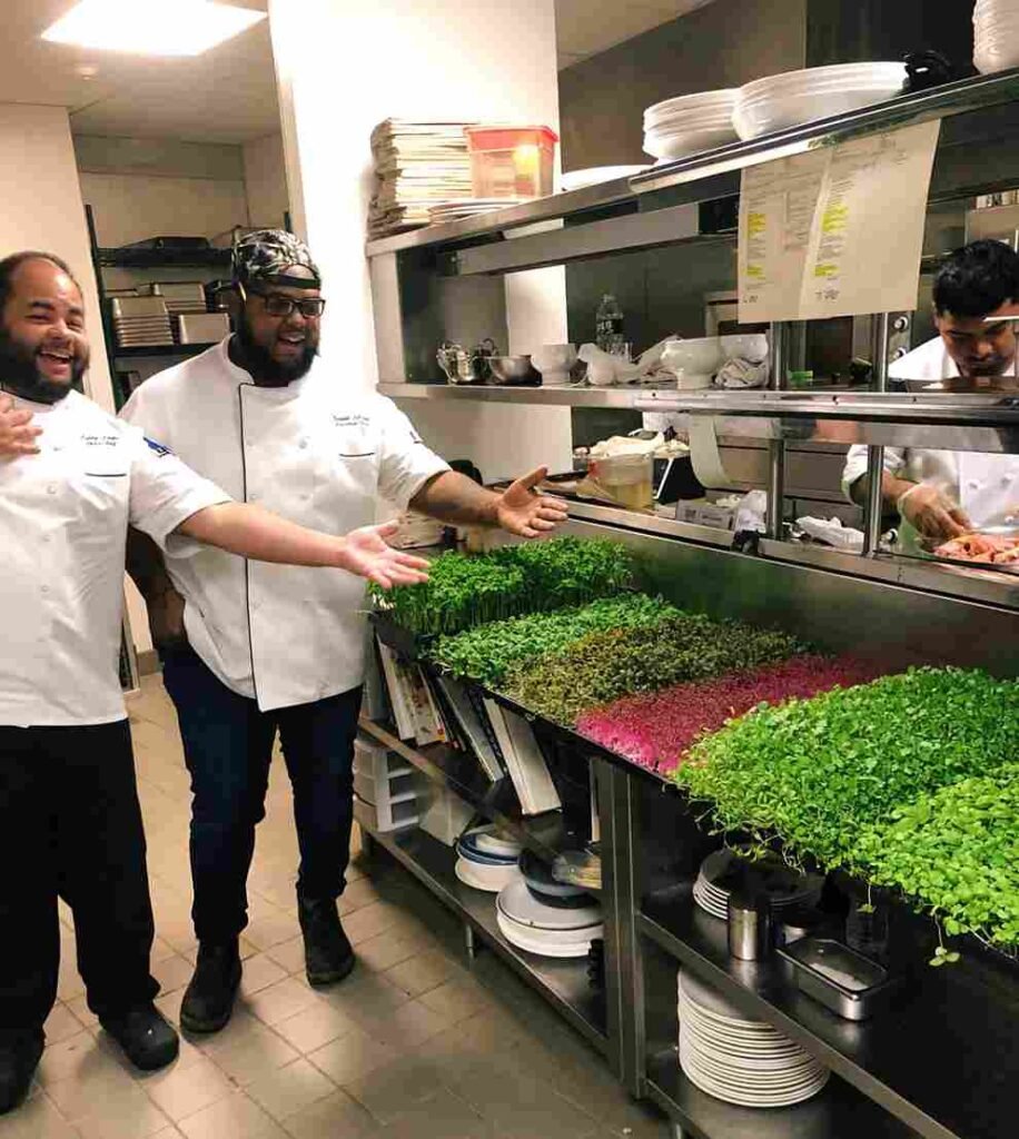 Sell microgreens in restaurants and cafes | How to sell microgreens