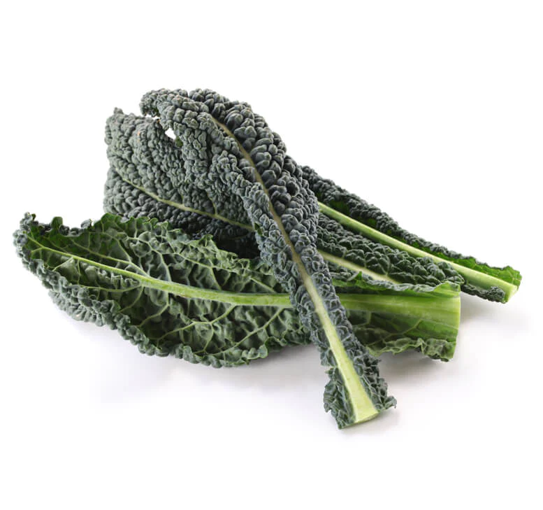 Tuscan kale | Kale microgreens