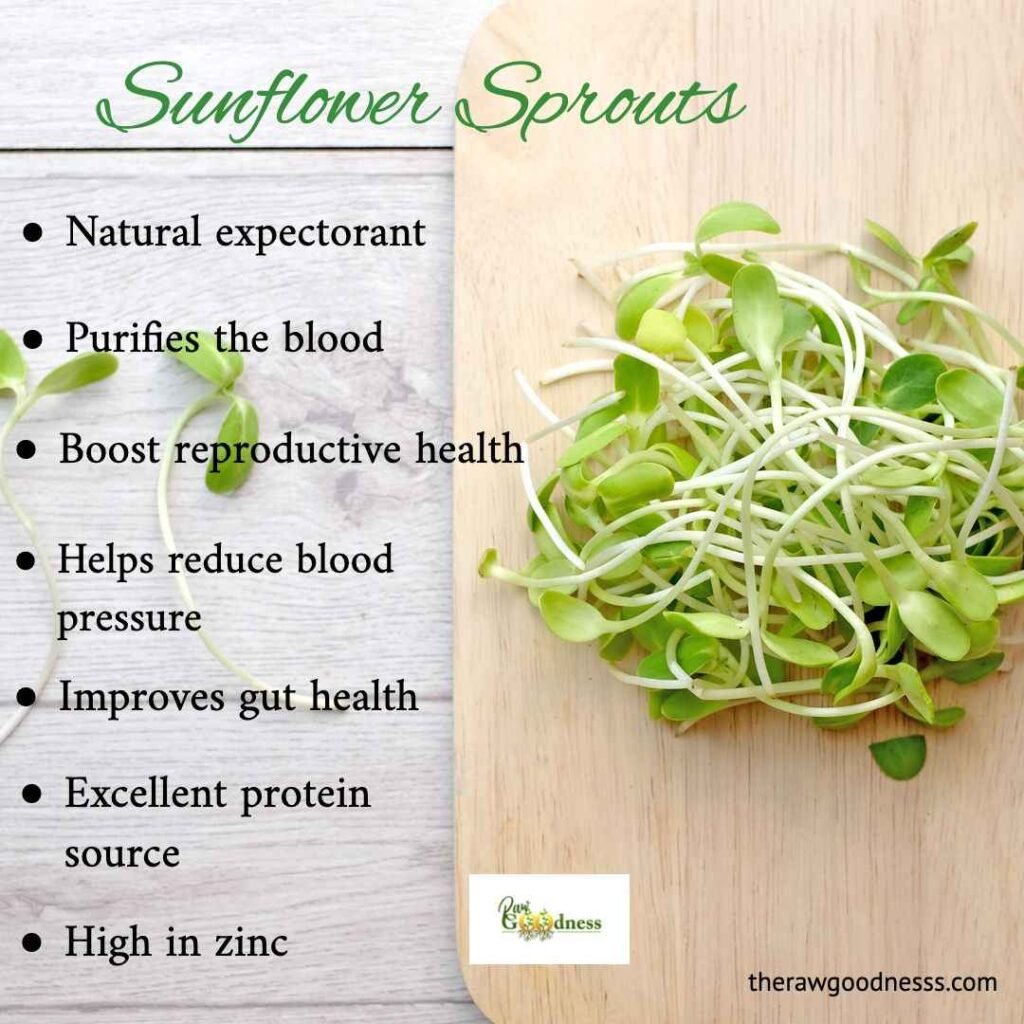 Nutritional benefits of sunflower microgreens | Sunflower microgreens