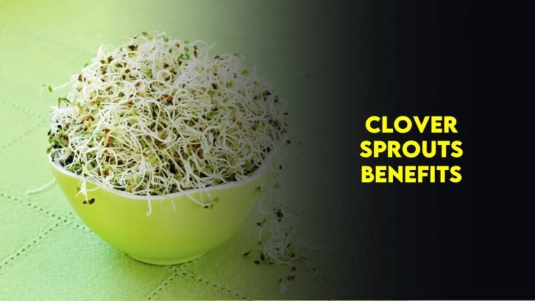 Clover Sprouts Benefits