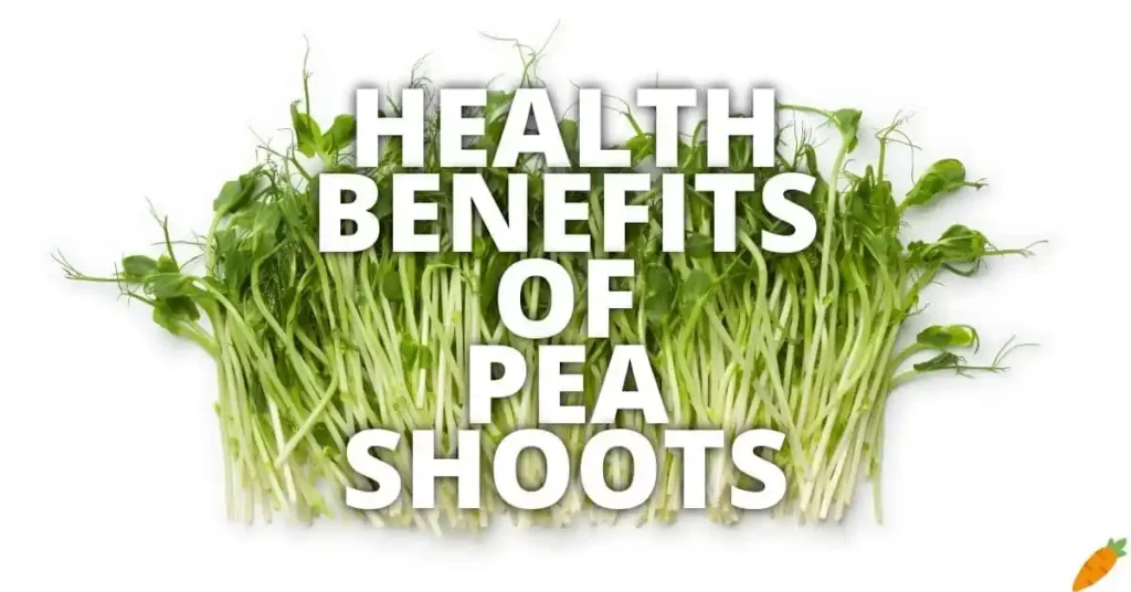 health benefits of pea shoot microgreens | Pea shoot microgreens