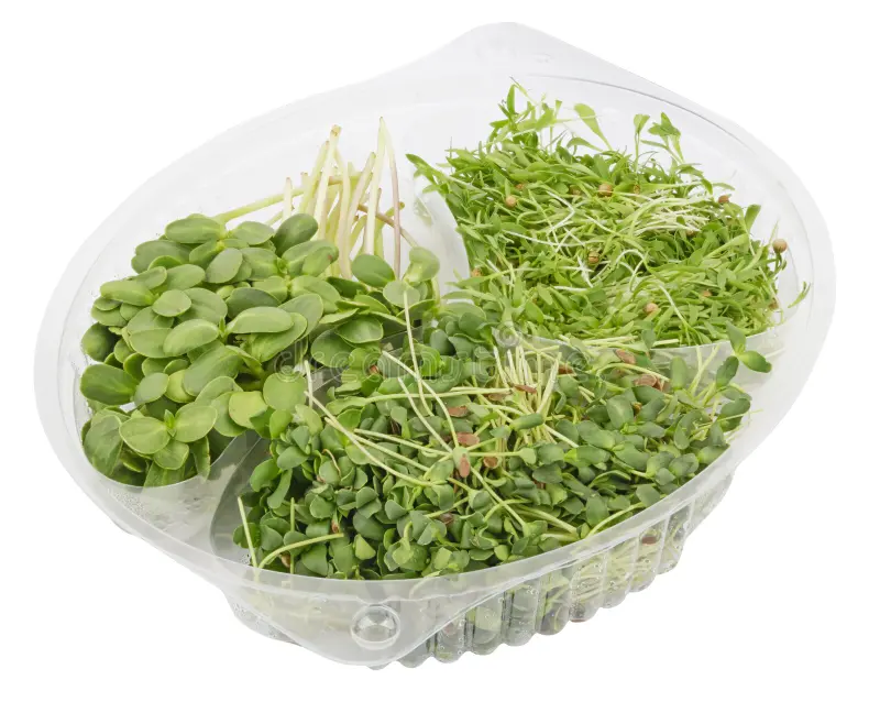 Storage containers | how to harvest microgreens