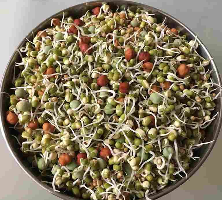 Sprouts | Who invented microgreens