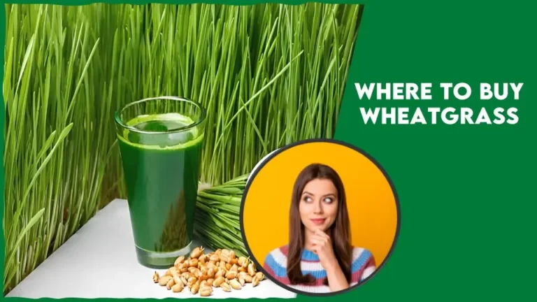 Where To Buy Wheatgrass