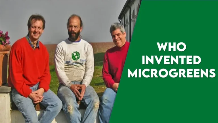 who invented microgreens